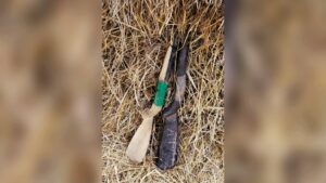 Two Firearms Recovered Beside Haystack at Foothill in Fatikchhari
